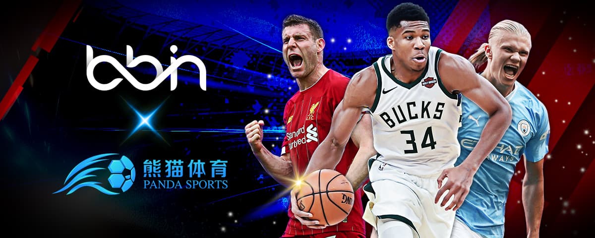 审视的焦点