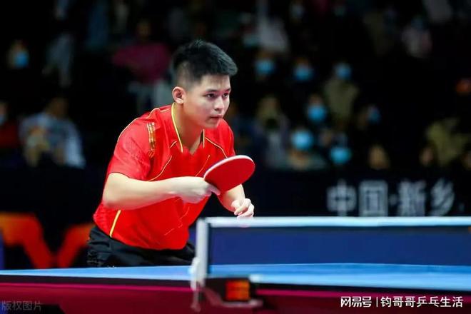 们提供了更 们提供了更