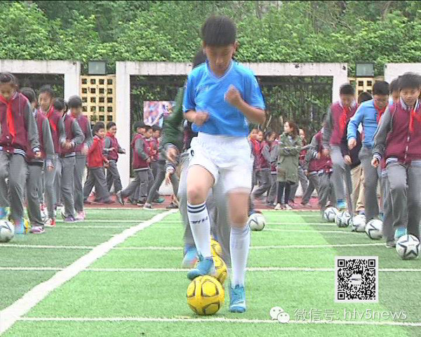 呈现两条不 呈现两条不